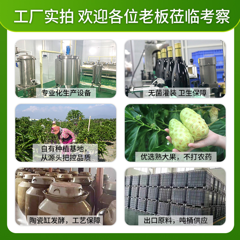 復合飲品口服液孝素OEM代加工