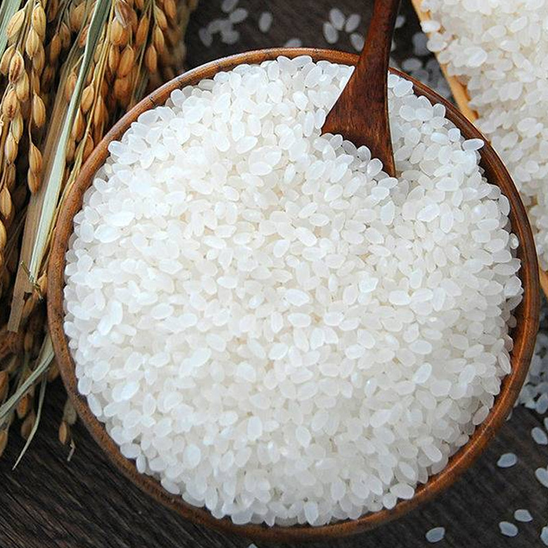 廠家直銷源頭工廠膨化大米粉批發(fā)熟粉即食早餐粉五谷雜糧代餐粉OEM代加工