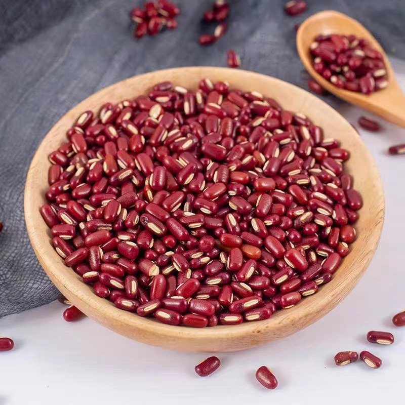 廠家批發(fā)正宗赤小豆 低溫烘焙赤小豆 紅豆薏米茶豆?jié){打磨原料OEM代加工