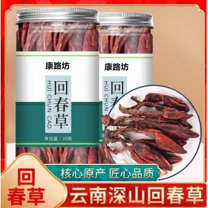 野生回春草 不老草 草蓯蓉 頂天柱 泡酒煲湯滋補(bǔ)批發(fā)零售一手貨源