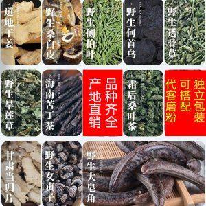 側(cè)柏葉粉皂角何首烏皂莢新貨500g可搭配桑白皮粉一手貨源批發(fā)零售