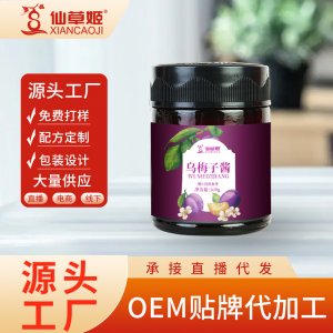 仙草姬烏梅子醬網(wǎng)紅果醬酸梅醬烏梅手工沖飲泡水果茶醬300g代發(fā)