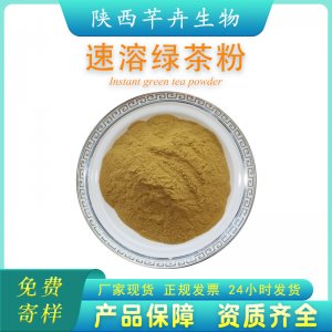 綠茶粉99% 綠茶提取物 速溶綠茶粉含茶多酚 各類速溶茶粉1KG包郵