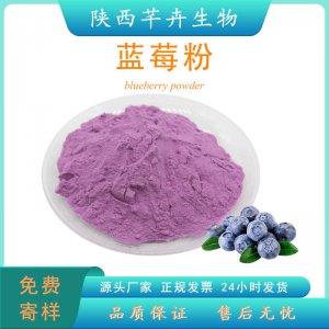 藍(lán)莓粉食品級(jí) 藍(lán)莓提取物 水溶藍(lán)莓果粉 藍(lán)莓汁 濃縮粉 廠家現(xiàn)貨