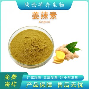 姜辣素 5%多規(guī)格 食品級 生姜提取物 姜酚 姜辣素粉原料 廠家包郵