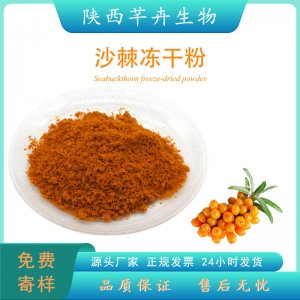 沙棘凍干粉99% 沙棘果提取物 食品級(jí)沙棘鮮果粉 冷凍干燥100g包郵