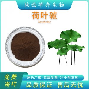 荷葉堿2% 荷葉提取物 另有荷葉堿98% 優(yōu)質(zhì)荷葉濃縮粉