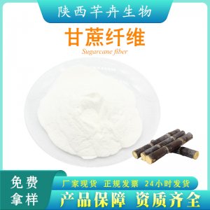 甘蔗膳食纖維90%甘蔗纖維粉 代餐粉 另有多種果蔬纖維粉 1KG包郵