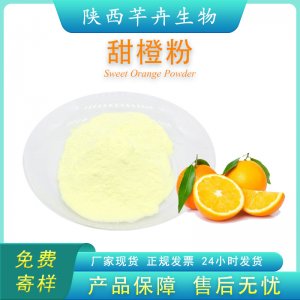 甜橙粉 99%橙子粉 香橙提取物 香橙粉 甜橙果粉 水果粉 廠家包郵