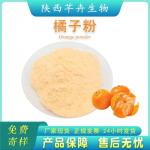 橘子粉99% 桔子粉 速溶口感好橘子果粉 橘子提取物 1公斤廠家包郵