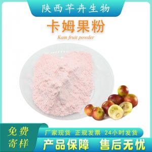 卡姆果粉 99% 卡姆果汁粉 卡姆果提取物 卡姆梅萃取汁粉 現(xiàn)貨包郵