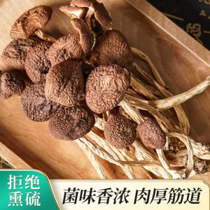 廠家現(xiàn)貨茶樹菇干貨批發(fā)家用商用煲湯炒菜袋裝干茶樹菇一件代發(fā)