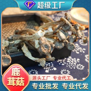 熊舅舅餐飲火鍋食材鹿茸菇菌批發(fā)干貨無(wú)熏硫煲湯袋裝現(xiàn)貨可代發(fā)