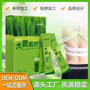 大麥若葉青汁粉代工廠家 大麥苗膳食纖維大麥若葉青汁固體飲料批發(fā)