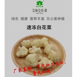 速凍白花菜；出口冷凍蔬菜；價格面議;批發(fā)(OEM)；生產(chǎn)工廠