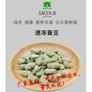 速凍蠶豆；出口品質(zhì)冷凍蔬菜；批發(fā)代加工(OEM)；工廠 產(chǎn)地直銷