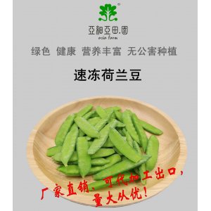 速凍荷蘭豆；出口品質(zhì)冷凍蔬菜；批發(fā)代加工(OEM)；工廠 產(chǎn)地直銷