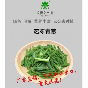 速凍青蔥；出口品質(zhì)冷凍蔬菜；批發(fā)銷售(OEM)；生產(chǎn)工廠