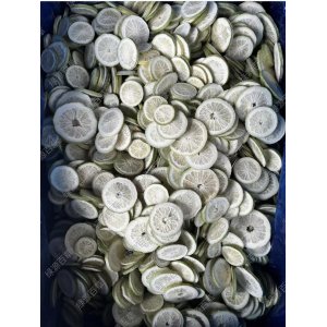 凍干青檸檬片 凍干香水檸檬片 凍干無糖青檸檬 無籽青檸檬片 花果