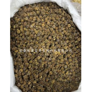 廠家批發(fā)貴州刺梨干散裝刺梨干果 野生刺梨脫刺選貨泡水泡酒 代發(fā)