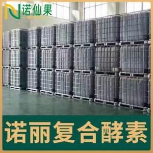 諾麗復(fù)合酵素 OEM/ODM貼牌代加工