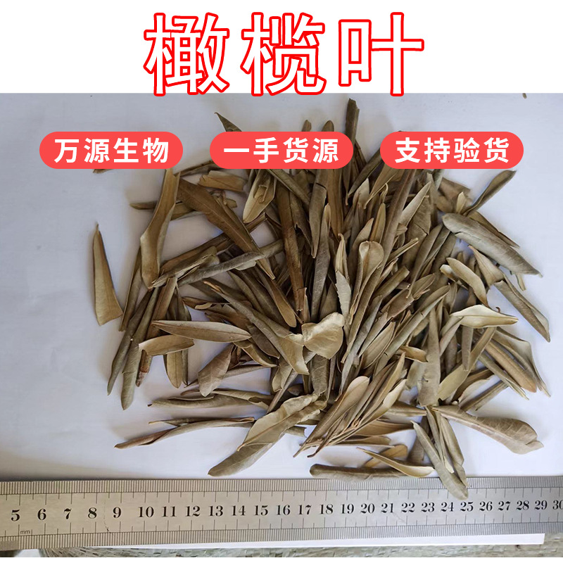 橄欖葉干葉OEM代加工
