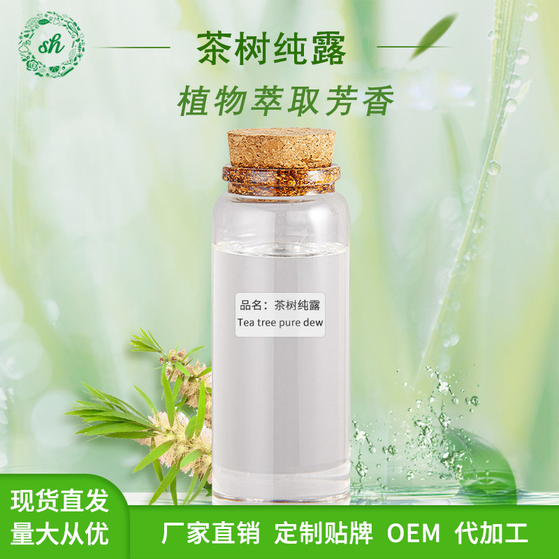 茶樹純露 植物提取液 可用于化妝品原料 飽和純露水 廠家直銷價優(yōu)