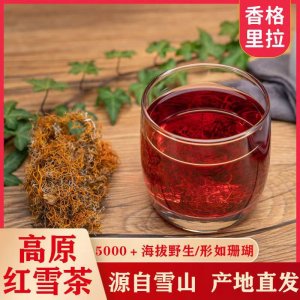 紅雪茶OEM代加工