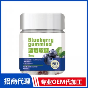藍(lán)莓軟糖OEM代加工 軟糖凝膠糖果貼牌定制
