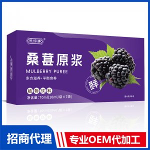桑葚原漿OEM代加工 植物飲料原漿加工定制
