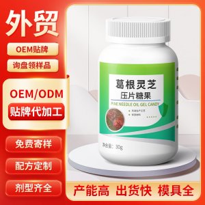 葛根靈芝壓片糖果 OEM/ODM貼牌代加工批發(fā)定制源頭工廠