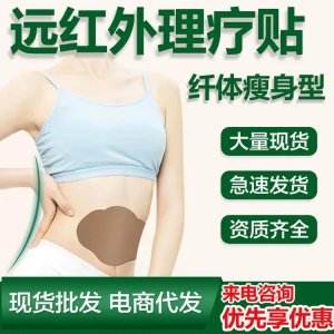 源頭廠家定制瘦身巴布艾草貼牌OEM遠紅外理療貼家直供醫(yī)院診所