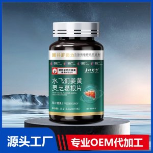 水飛薊姜黃靈芝葛根片壓片糖果 OEM/ODM貼牌代加工批發(fā)定制