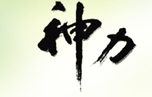 臨朐神力食品有限公司